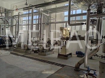 Commissioning and operation of detergent powder production line with an annual output of 200,000 ton